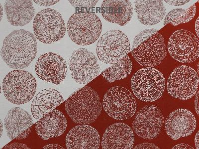 Covington I Need A Dollar 343 LOBSTER